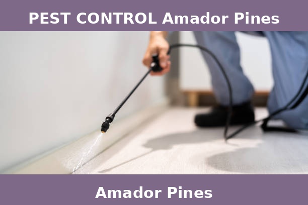 PEST CONTROL Amador Pines